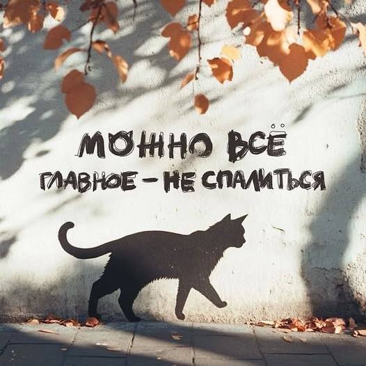 Свеженькие мемы как вы любите Свеженькие мемы как вы любите native-yes