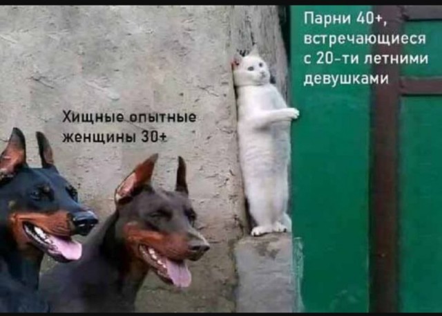 Порция смешных картинок с надписями в пятницу Порция смешных картинок с надписями в пятницу native-yes
