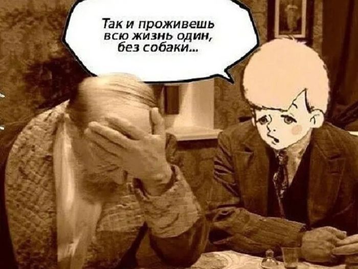 Подборка самых позитивных Мемов и Прикольных картинок на выходные native-yes