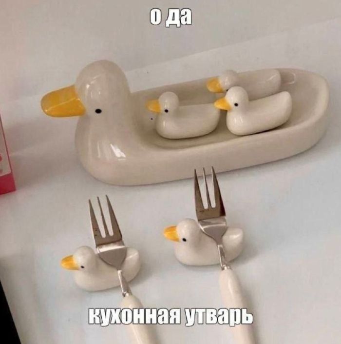 Смешные мемы и приколы с подписями native-yes