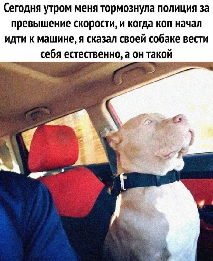 Подборка увлекательных Картинок и смешных Мемов Подборка увлекательных Картинок и смешных Мемов native-yes