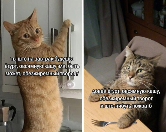 Смешные мемы и приколы с Надписями на выходные native-yes