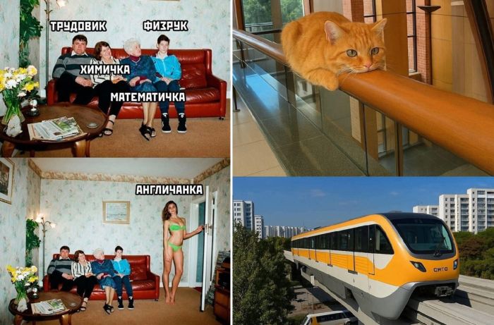 Подборка увлекательных Картинок и смешных Мемов