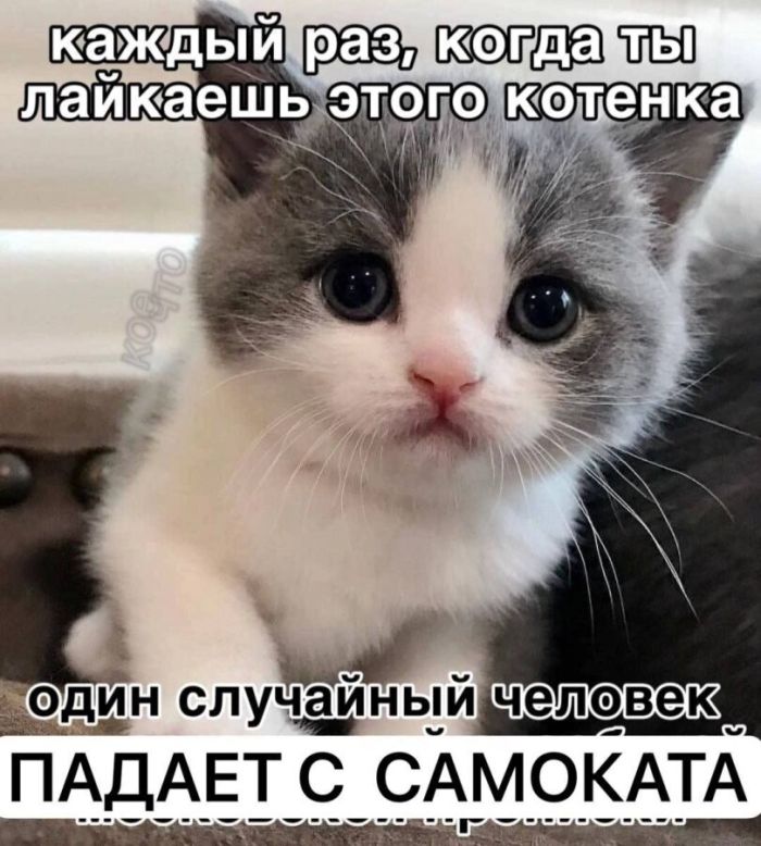 Картинки с лучшими шутками на выходные Картинки с лучшими шутками на выходные native-yes