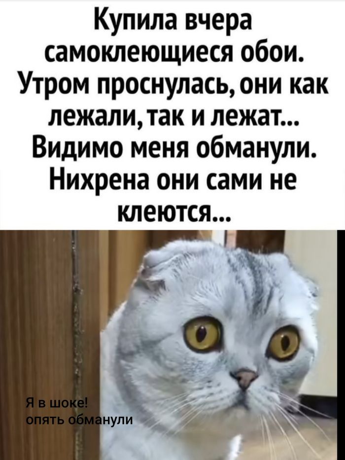 Смешная подборка Мемов на выходные Смешная подборка Мемов на выходные native-yes