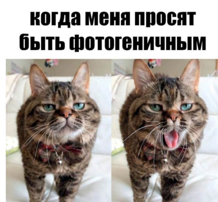 Новые шутки на выходные native-yes