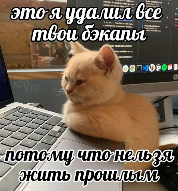 Веселые мемы и забавные картинки на Пятницу Веселые мемы и забавные картинки на Пятницу native-yes