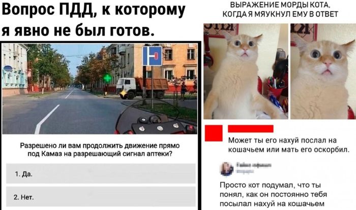 Лучший юмор в прикольных мемах