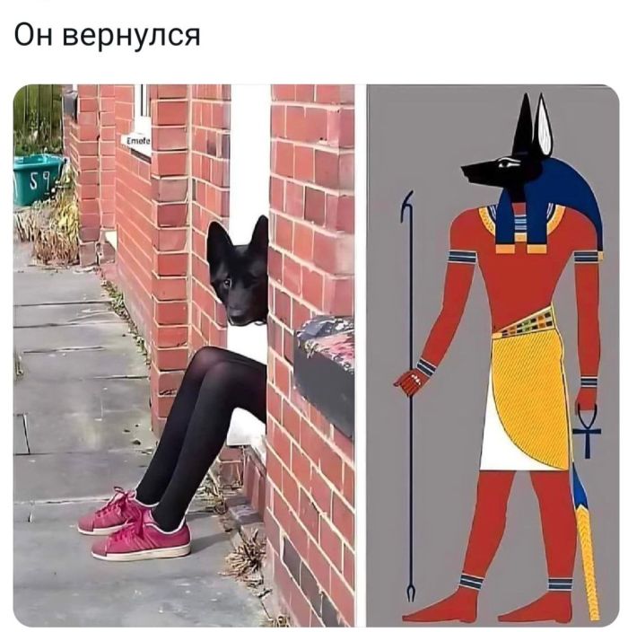 Мемы для лиц с хорошим чувством Юмора Мемы для лиц с хорошим чувством Юмора native-yes