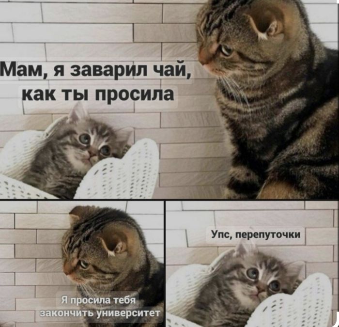 Новые шутки на выходные native-yes