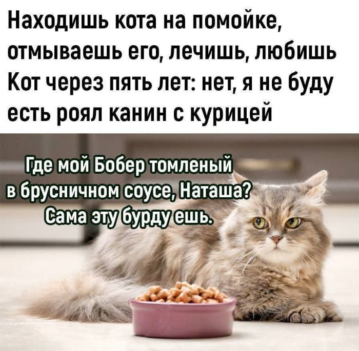 Мемы для лиц с хорошим чувством Юмора Мемы для лиц с хорошим чувством Юмора native-yes