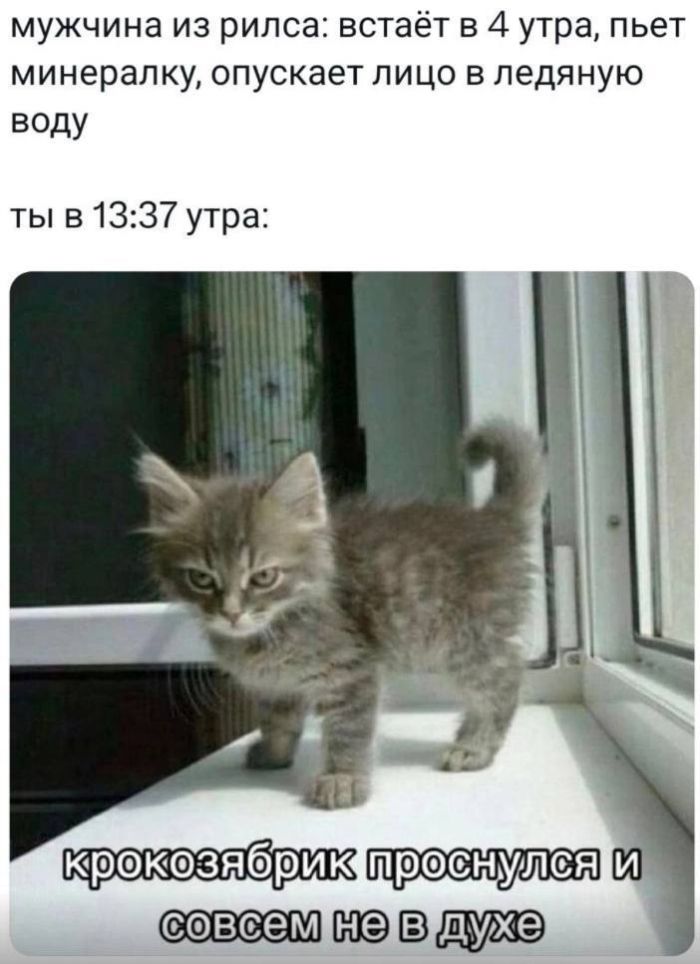 Веселые мемы и забавные картинки на Пятницу Веселые мемы и забавные картинки на Пятницу native-yes