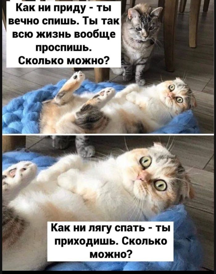 Картинки с лучшими шутками на выходные Картинки с лучшими шутками на выходные native-yes