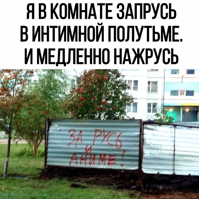 Самые лучшие мемы и прикольные картинки native-yes