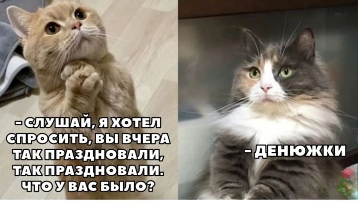 Картинки с лучшими шутками на выходные Картинки с лучшими шутками на выходные native-yes