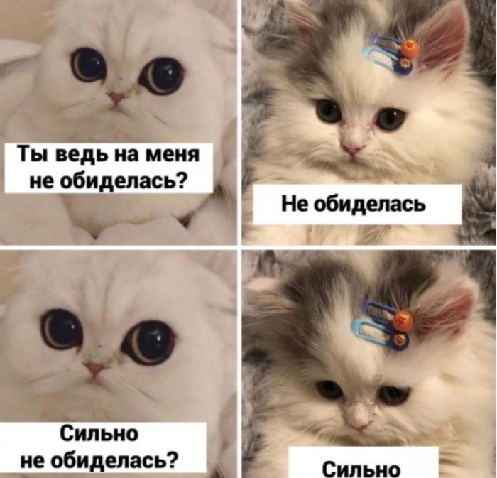 Свежие мемы чтобы убить время native-yes