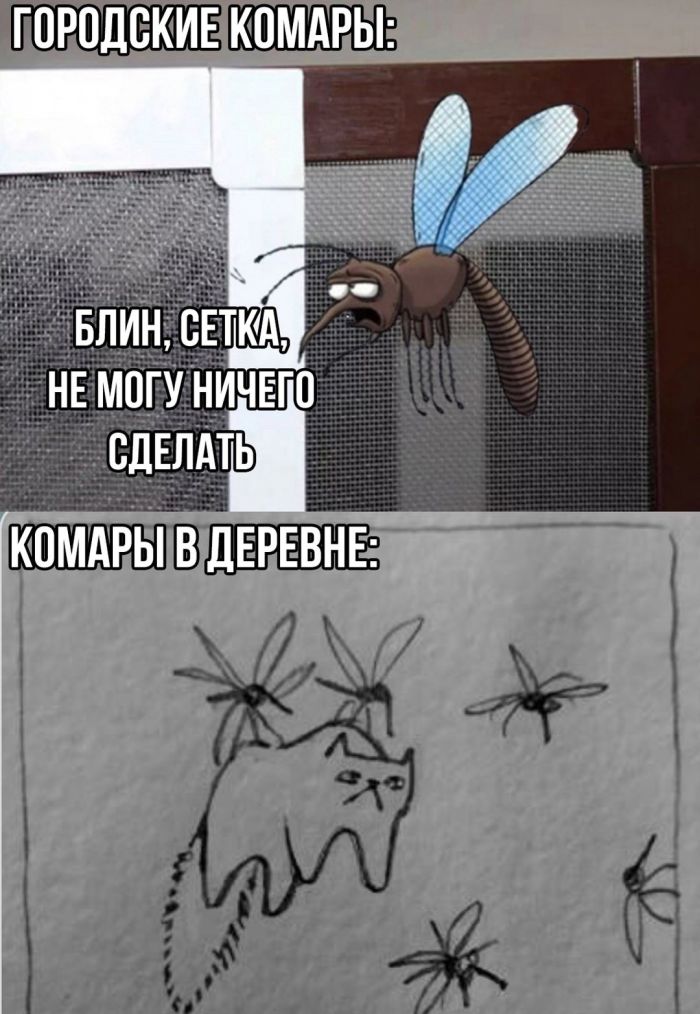 Мемы - Новые, Свежие, Смешные Мемы - Новые, Свежие, Смешные native-yes