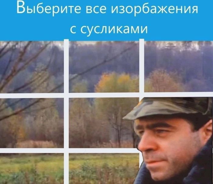 Подборка увлекательных Картинок с надписями native-yes