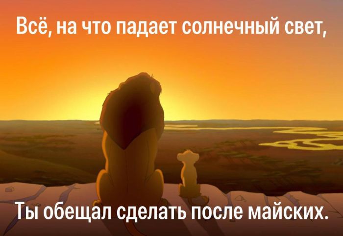 Завораживающие фото и смешные картинки Завораживающие фото и смешные картинки native-yes