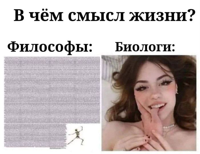 Большой сборник мемов и фото для настроения на Пятницу Большой сборник мемов и фото для настроения на Пятницу native-yes