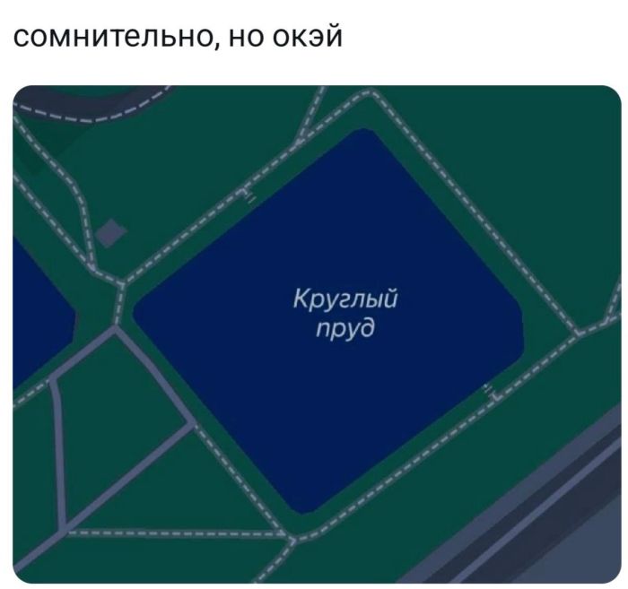 Завораживающие фото и смешные картинки Завораживающие фото и смешные картинки native-yes