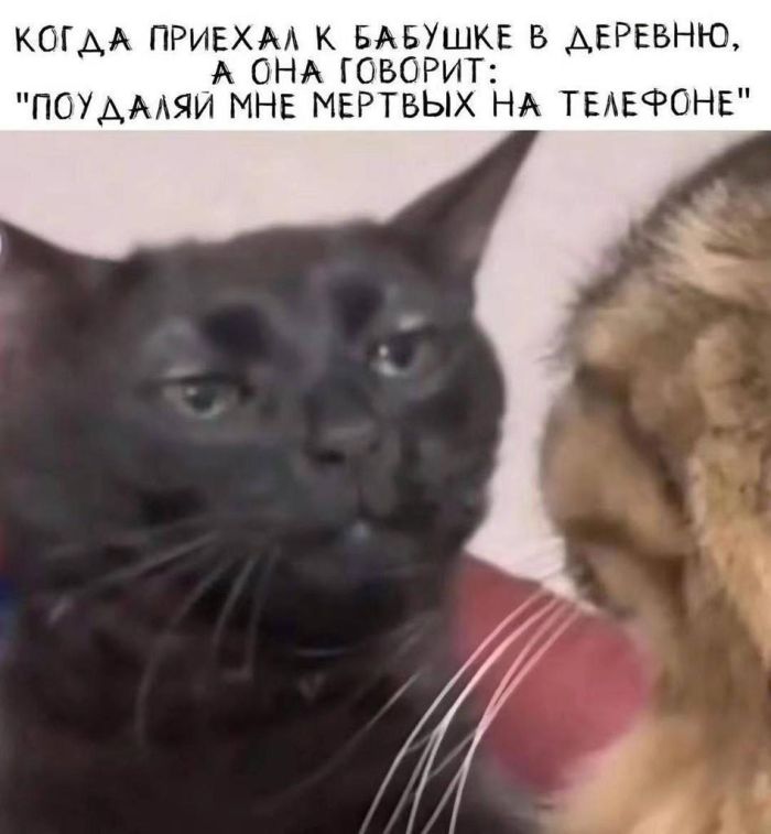 Подборка увлекательных Картинок с надписями native-yes