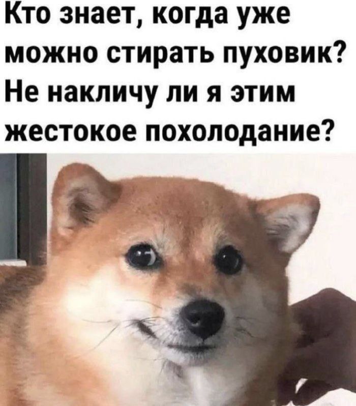 Мемы - Новые, Свежие, Смешные Мемы - Новые, Свежие, Смешные native-yes
