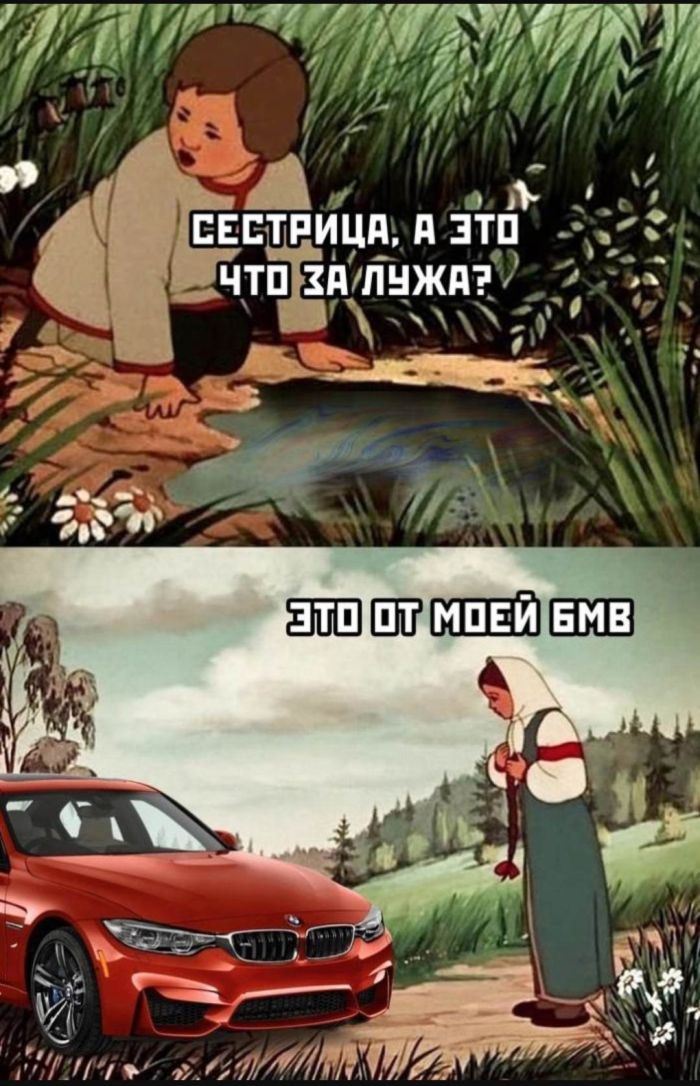 Завораживающие фото и смешные картинки Завораживающие фото и смешные картинки native-yes