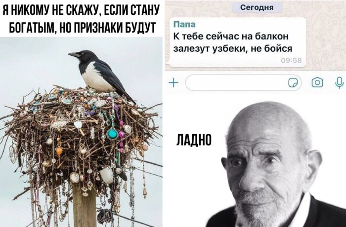 Новая подборка смешных мемов и прикольных комментариев