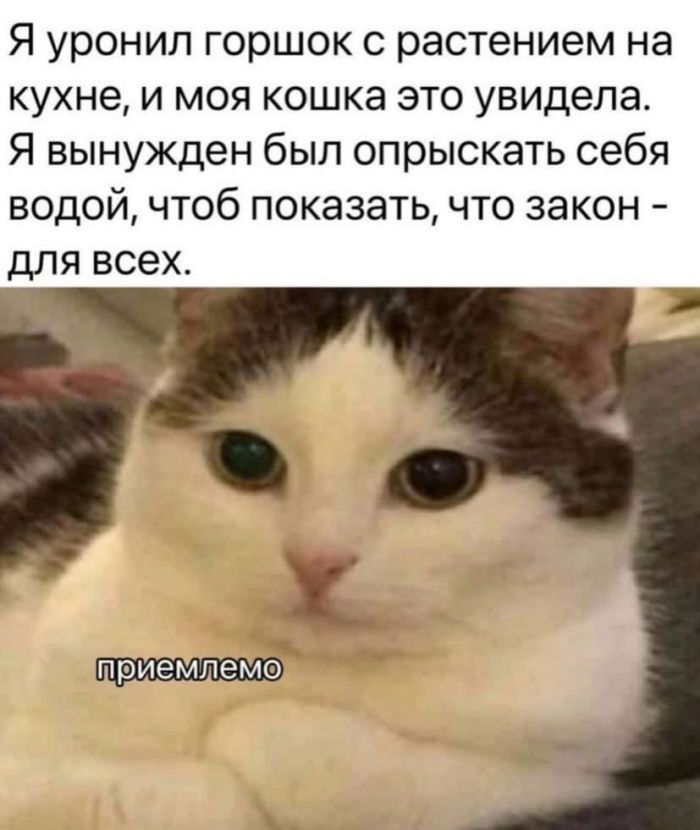 Смешная подборка Мемов на выходные Смешная подборка Мемов на выходные native-yes