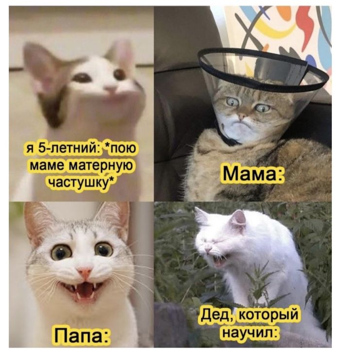 Смешные картинки для старта недели Смешные картинки для старта недели native-yes