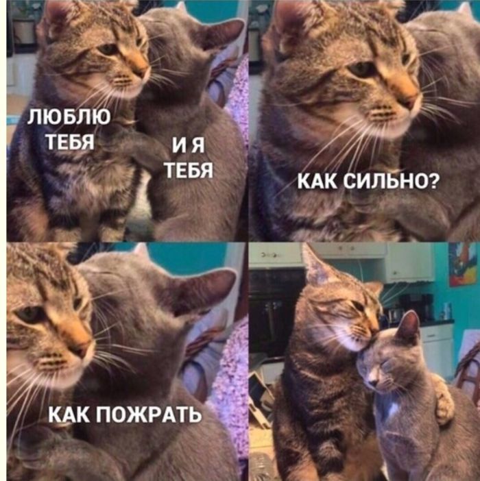 Подборка увлекательных Картинок с надписями native-yes