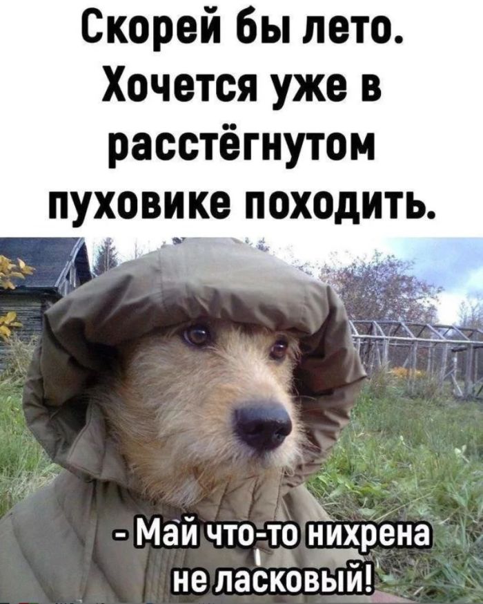 Мемы для лиц с хорошим чувством Юмора Мемы для лиц с хорошим чувством Юмора native-yes