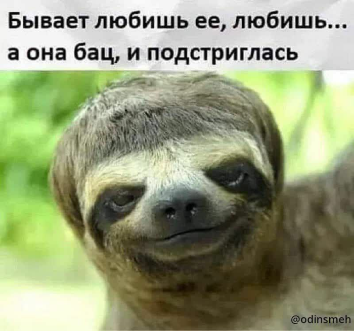 Большой сборник прикольных Картинок Большой сборник прикольных Картинок native-yes