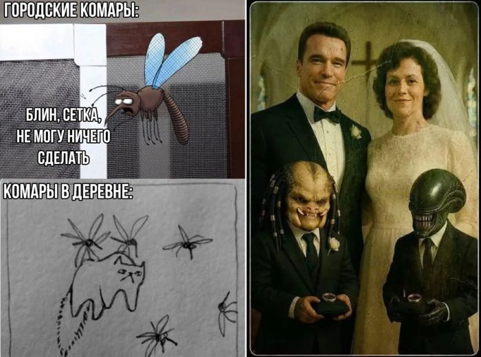 Мемы - Новые, Свежие, Смешные