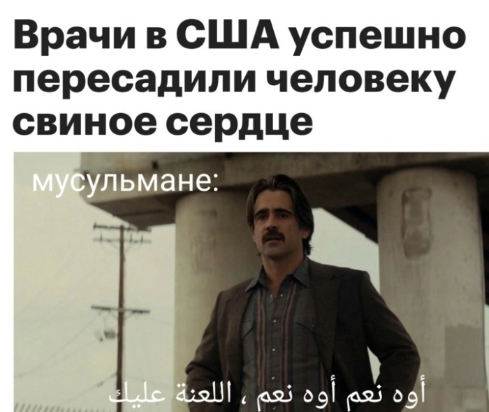 Картинки с лучшими шутками на выходные Картинки с лучшими шутками на выходные native-yes
