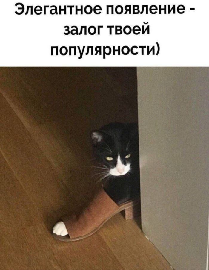Мемы для лиц с хорошим чувством Юмора Мемы для лиц с хорошим чувством Юмора native-yes