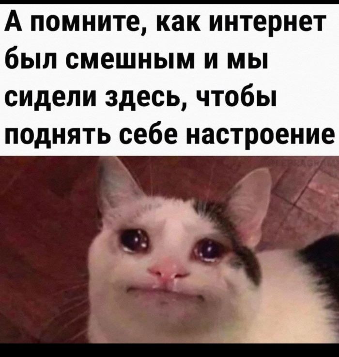 Большой сборник прикольных Картинок Большой сборник прикольных Картинок native-yes