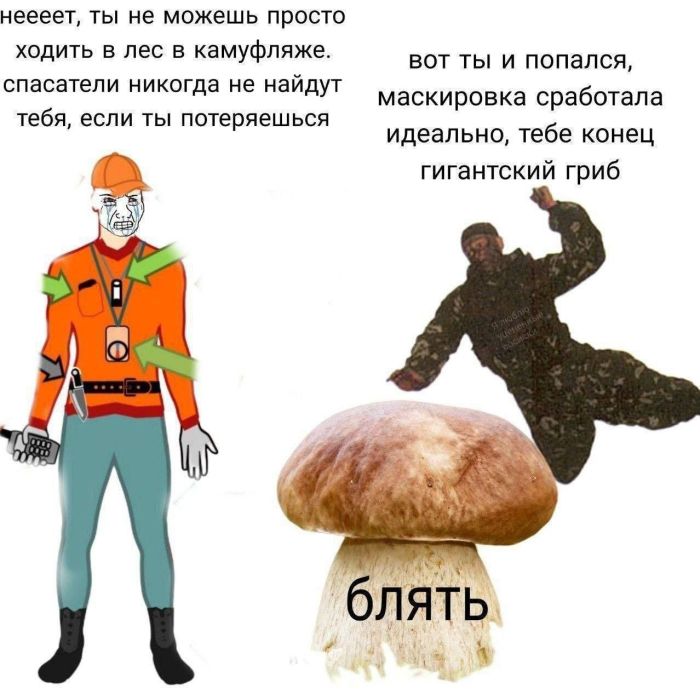 Большой сборник мемов и фото для настроения на Пятницу Большой сборник мемов и фото для настроения на Пятницу native-yes