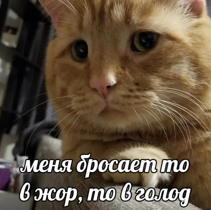 Новые шутки на выходные native-yes