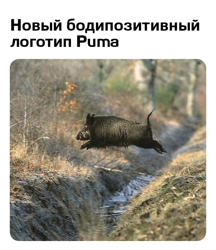 Новые шутки на выходные native-yes