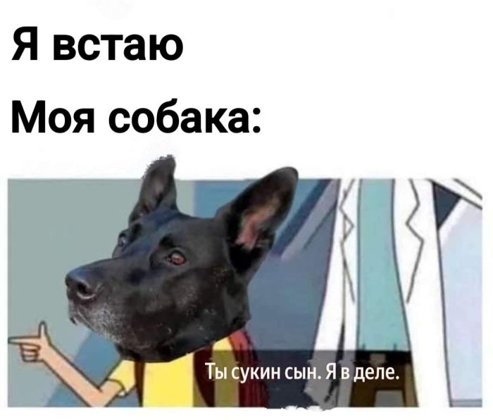 Смешные мемы и приколы с подписями native-yes