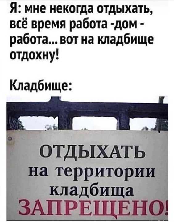 Лучшие шутки в картинках с надписями для старта недели Лучшие шутки в картинках с надписями для старта недели native-yes