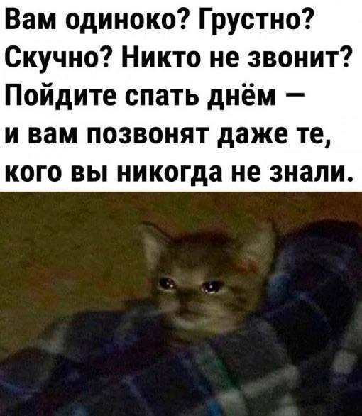 Подборка самых смешных картинок с подписями native-yes