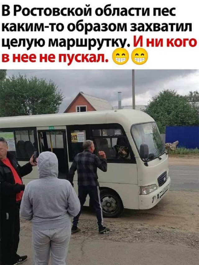 Лучшие приколы для любителей Мемов Лучшие приколы для любителей Мемов native-yes