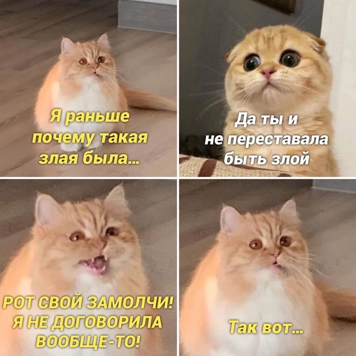 Пятница! Время мемов для отличного настроения! Пятница! Время мемов для отличного настроения! native-yes