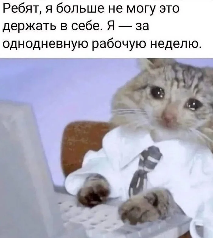 Лучшие шутки на выходные Лучшие шутки на выходные native-yes