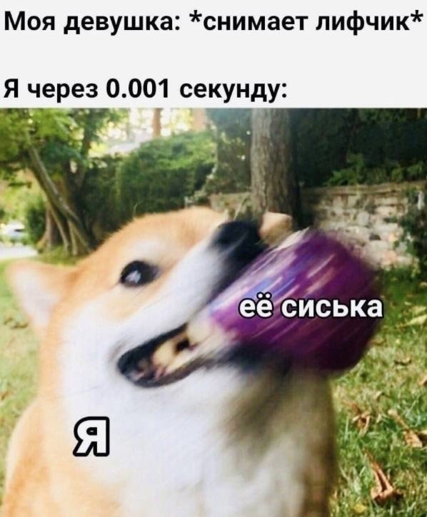 Позитив и приколы в смешных картинках на выходной Позитив и приколы в смешных картинках на выходной native-yes