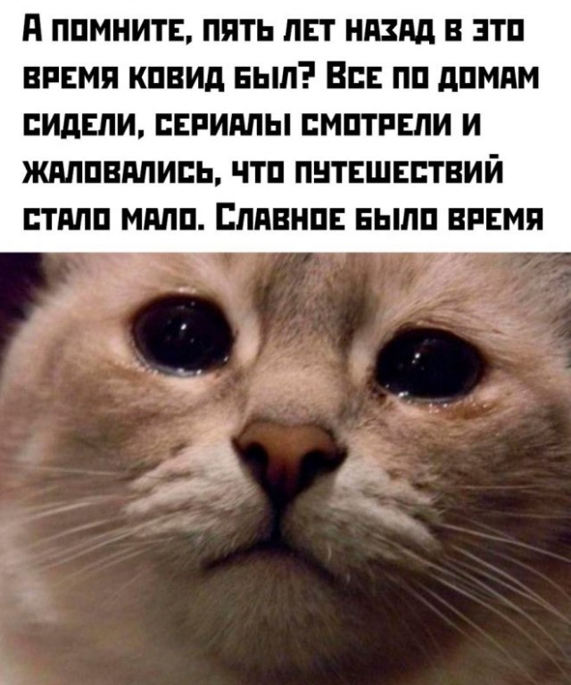 Позитив и приколы в смешных картинках на выходной Позитив и приколы в смешных картинках на выходной native-yes