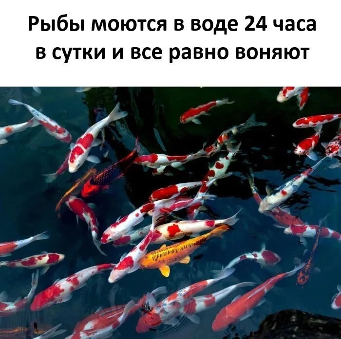 Самые лучшие мемы на выходные Самые лучшие мемы на выходные native-yes